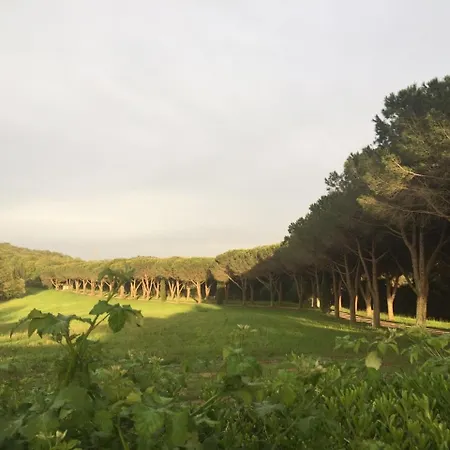 Almanuda - Naturist Village - Adults Only Отель для свиданий Сутри