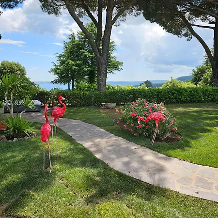 Love hotel Almanuda - Naturist Village - Adults Only Sutri